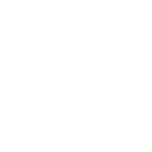 verano logo 02